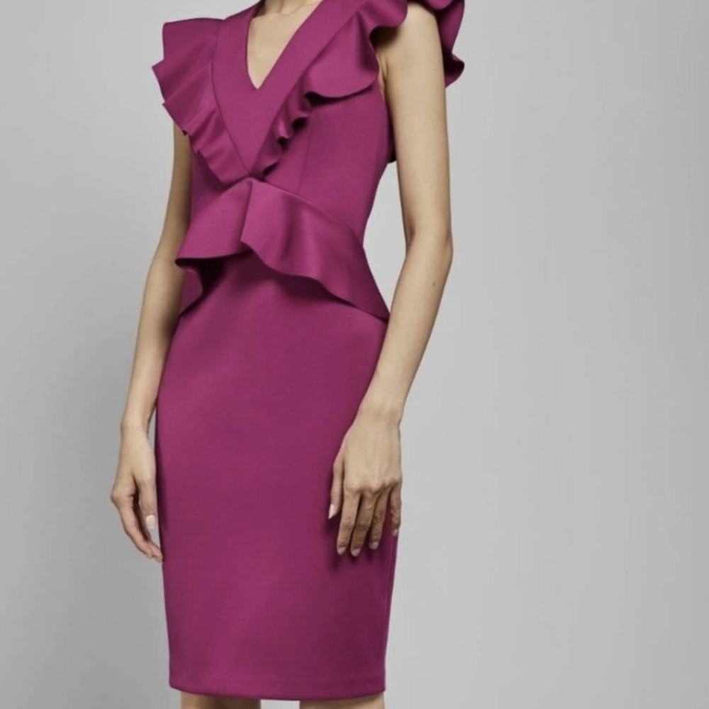 NWT Ted Baker Alair Dress size 2